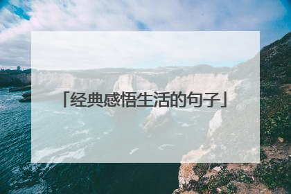经典感悟生活的句子
