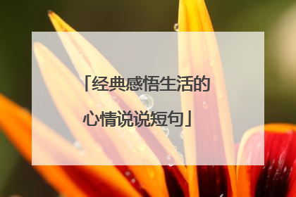 经典感悟生活的心情说说短句