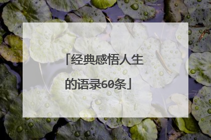 经典感悟人生的语录60条