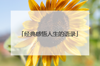 经典感悟人生的语录