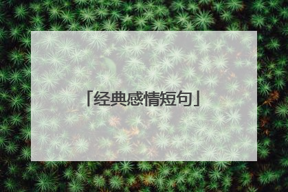经典感情短句