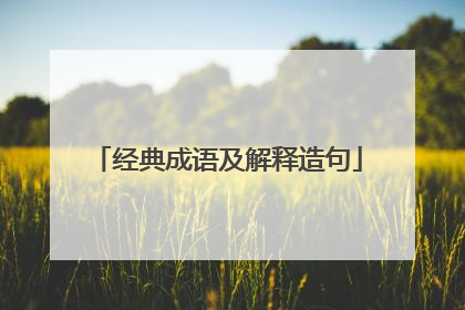 经典成语及解释造句
