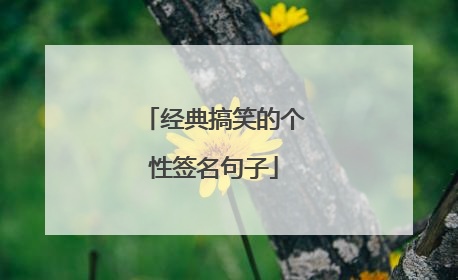 经典搞笑的个性签名句子