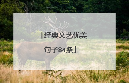 经典文艺优美句子84条
