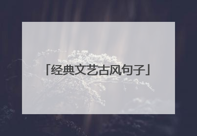 经典文艺古风句子