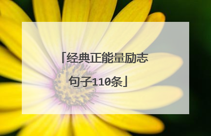 经典正能量励志句子110条