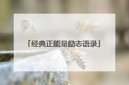 经典正能量励志语录