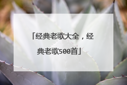 经典老歌大全,经典老歌500首