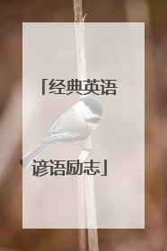 经典英语谚语励志