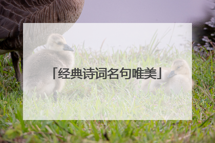 经典诗词名句唯美