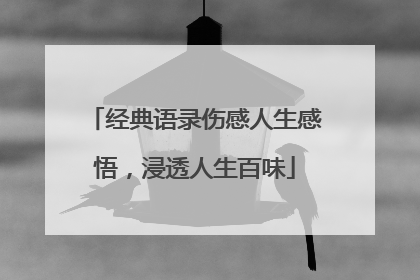 经典语录伤感人生感悟,浸透人生百味