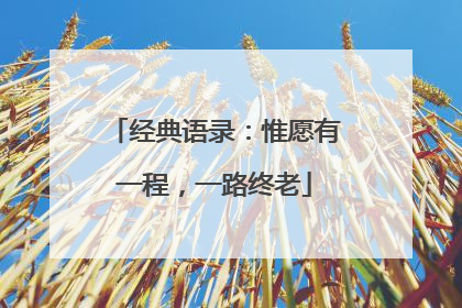 经典语录:惟愿有一程,一路终老