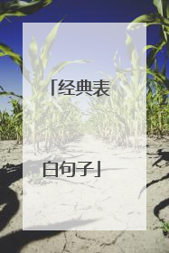 经典表白句子