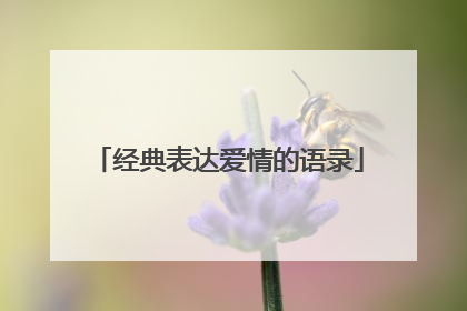 经典表达爱情的语录
