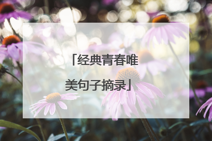 经典青春唯美句子摘录