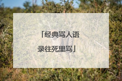 经典骂人语录往死里骂