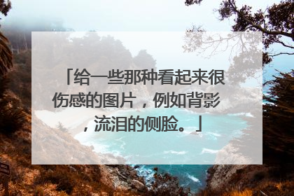 给一些那种看起来很伤感的图片,例如背影,流泪的侧脸。