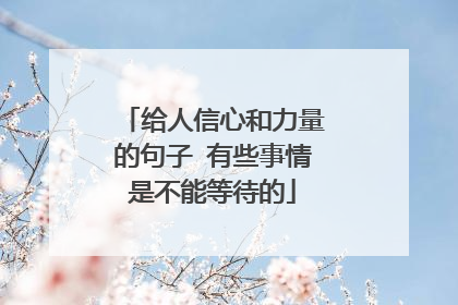 给人信心和力量的句子 有些事情是不能等待的