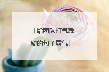 给团队打气激励的句子霸气