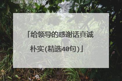 给领导的感谢话真诚朴实(精选40句)
