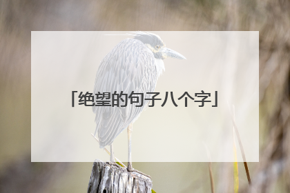 绝望的句子八个字