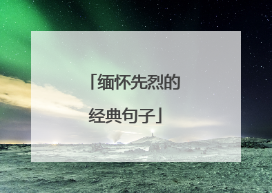 缅怀先烈的经典句子