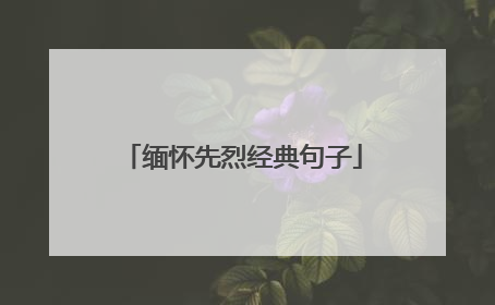 缅怀先烈经典句子