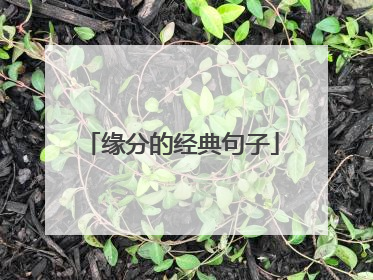 缘分的经典句子