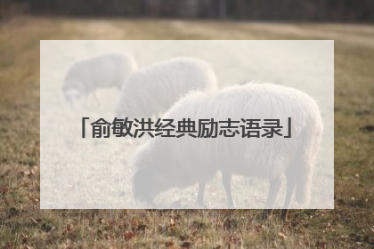 俞敏洪经典励志语录