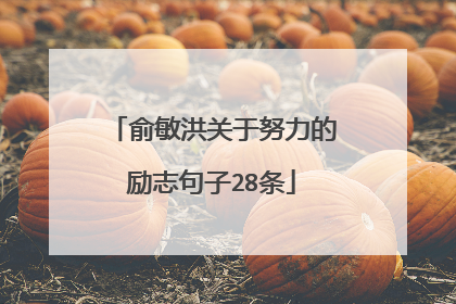 俞敏洪关于努力的励志句子28条