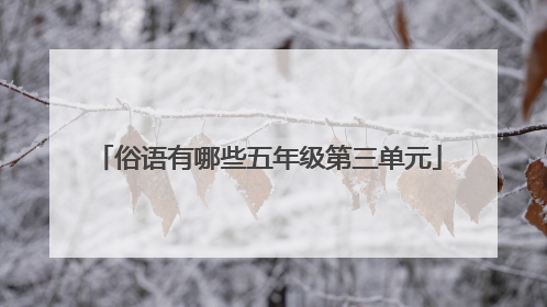 俗语有哪些五年级第三单元