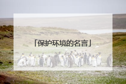 保护环境的名言