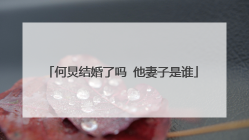 何炅结婚了吗 他妻子是谁