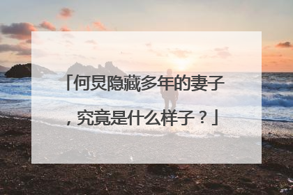何炅隐藏多年的妻子,究竟是什么样子?