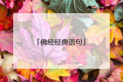 佛经经典语句