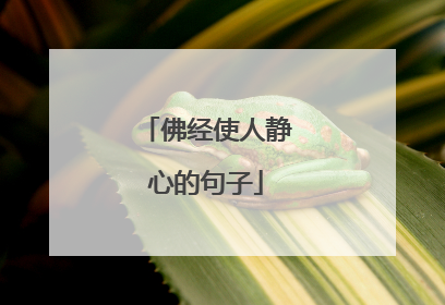 佛经使人静心的句子