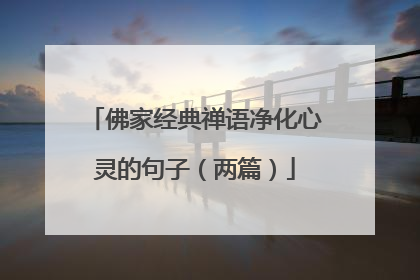 佛家经典禅语净化心灵的句子(两篇)