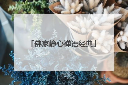 佛家静心禅语经典