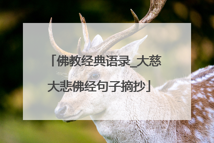 佛教经典语录_大慈大悲佛经句子摘抄