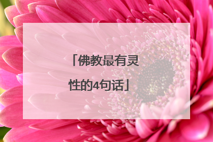 佛教最有灵性的4句话