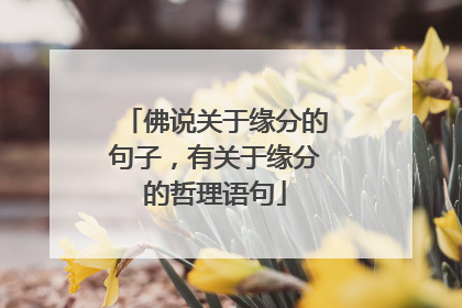 佛说关于缘分的句子,有关于缘分的哲理语句