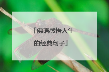 佛语感悟人生的经典句子