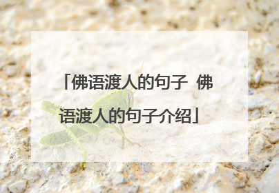 佛语渡人的句子 佛语渡人的句子介绍