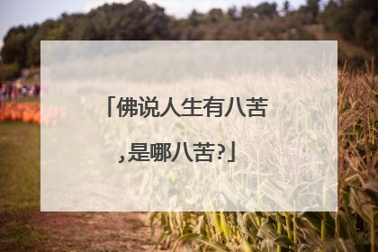 佛说人生有八苦,是哪八苦?