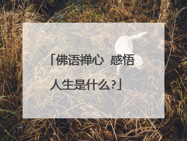 佛语禅心 感悟人生是什么?