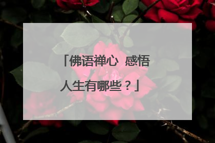 佛语禅心 感悟人生有哪些?