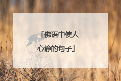 佛语中使人心静的句子