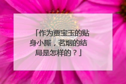 作为贾宝玉的贴身小厮,茗烟的结局是怎样的?