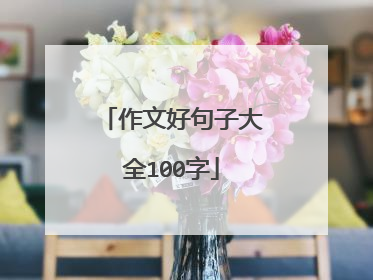 作文好句子大全100字
