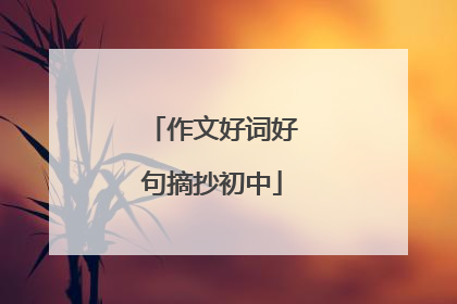 作文好词好句摘抄初中